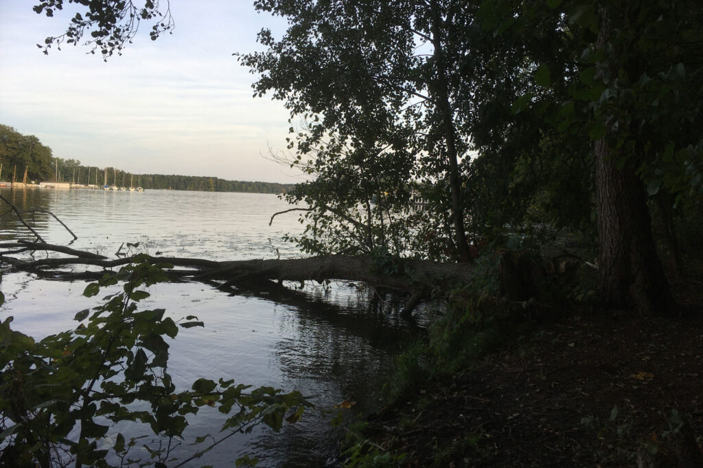 Abendstimmung an der Dahme