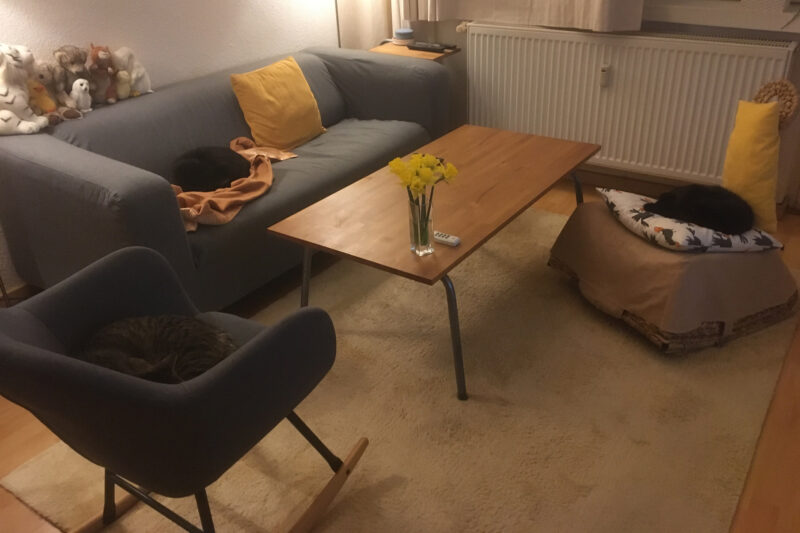 Drei Katzen auf Möbeln, schlafend.