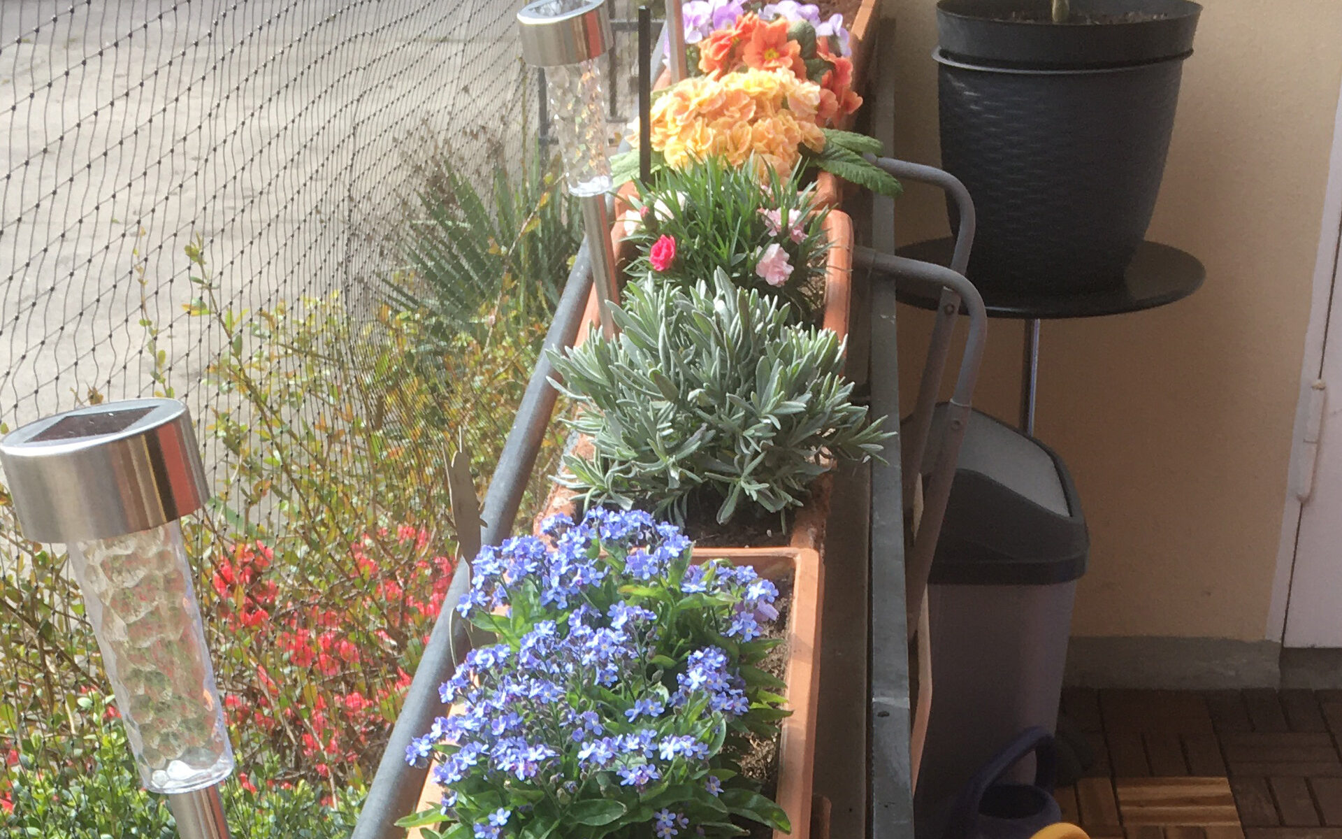 Eine Reihe von bepflanzten Blumenkästen im Frühling