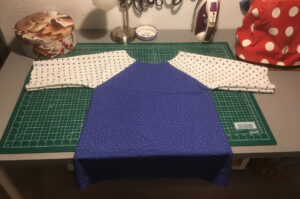 Photo einer Bluse im Raglanschnitt